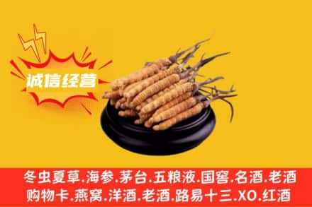 资阳市回收冬虫夏草